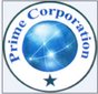 Prime Corporation Company Logo