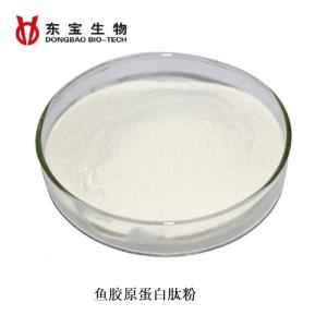 Wholesale nutritional supplement: Hot Sell Discount Hydrolyzed Fish Collagen Dietary Supplement Nutritional Collagen Peptide Powder