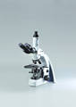 Wholesale focusing: Digital Image Analysis Trinocular Microscope