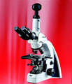 Wholesale 1000x microscope: 40x-1000x DIGITAL BINOCULAR MICROSCOPE