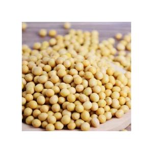 Wholesale gmo soybean: Soybeans