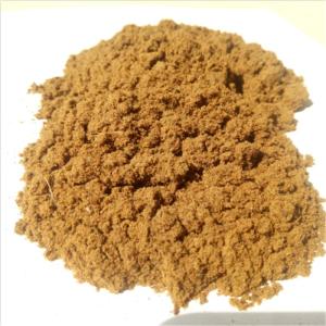 Wholesale maize: Fish Meal
