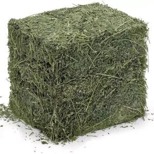 Wholesale bales: Alfalfa Hay