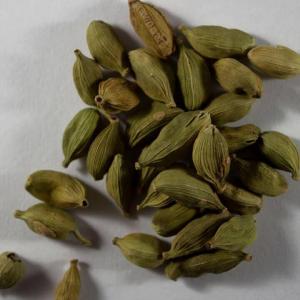 Wholesale Spices & Herbs: Purchase Quality Green Cardamom Natural Best Quality Fresh Green Cardamom Dried Green Cardamom