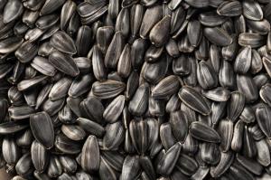Wholesale natural vitamins minerals: Where To Purchase Quality Top Grade Sunflower Seeds for Human Consumption