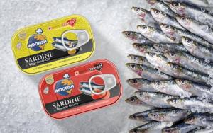 Wholesale sardine fish oil: Canned Sardine in Vegetable Oil/125g Sardines in Tomato Sauce/ Canned Sardines /Mackerel / Tuna Fish