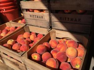 Wholesale peaches: Where To Purchase Quality Fresh Red Sweet Peaches