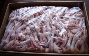Wholesale chicken drumsticks: Purchase Grade ''A'' Frozen Chicken Feet and Paws / Chicken Feet / Chicken Paws / Chicken Wings