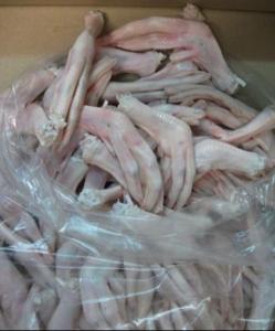 Wholesale duck: Where To Purchase Quality Frozen Grade AA Duck Feet