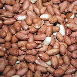 Wholesale white beans: Purchase Quality Grade A Raw Peanut / Raw Groundnuts / Raw Peanut in Shell / White and Red Peanuts