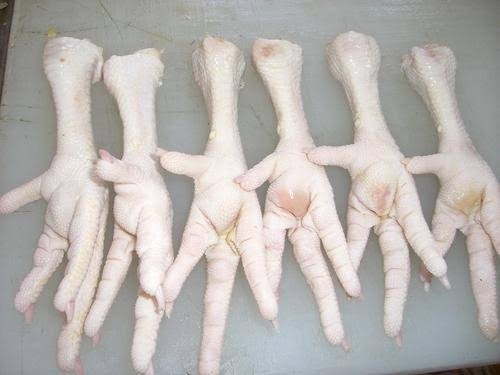 Frozen Grade Aa Chicken Feet Id 11059726 Buy United States Chicken Feet Chicken Leg Chicken