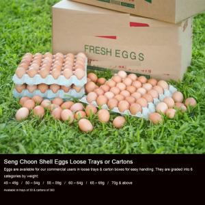 Wholesale stock: Farm Fresh Table Brown and White Table Eggs / Fresh Chicken Eggs