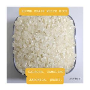 Wholesale kdm rices: Japonica Rice
