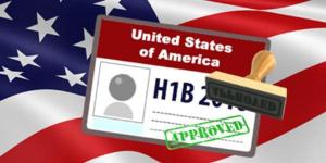 Wholesale doctor is who: H1b Visa Services