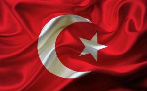 Wholesale turkey: Turkey Job Placement - Work Visa
