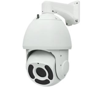 Wholesale ir speed dome camera: IP High Speed Dome IR Camera with 33x Optical Zoom