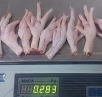 Sell Brazilian Halal Frozen Whole Chicken and Parts , Chicken...