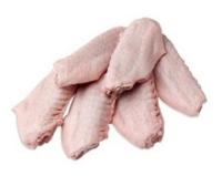 Sell Frozen Chicken: breasts, quarter legs, drumsticks,...