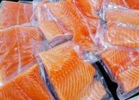 Fresh Frozen Chum Salmon Fillet Fish