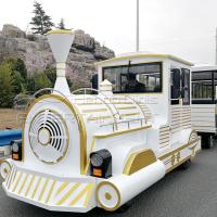 Sightseeing Trackless Train Ride