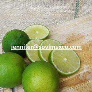 Wholesale Spices & Herbs: Fresh Lemon with Best Price