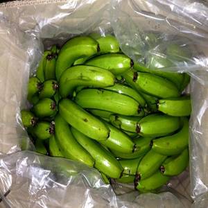 Wholesale packing box: Sweet Banana with Best Price