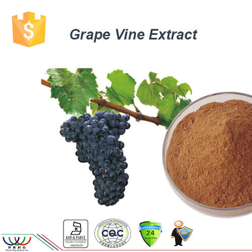 Sell antioxidant trans resveratrol grape...