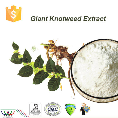 Sell 98% Trans-resveratrol giant knotweed...