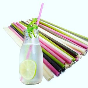 Wholesale biodegradable plastic: Rice Straw Eco Friendly Product for Drinking