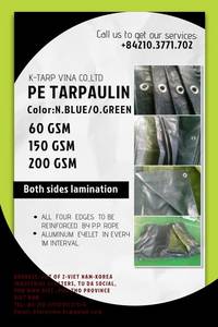 Wholesale Tarpaulin: N Blue O Green PE Tarpaulin 60GSM,120GSM,150GSM,200GSM Made in Vietnam