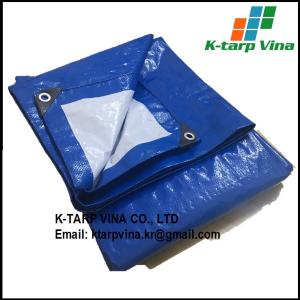 Wholesale Tarpaulin: Blue/White Tarpaulin Sheet, 4*5m, 125 Gr/Sqm