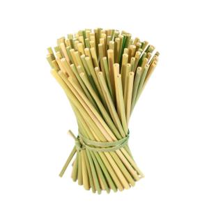 Wholesale biodegradable plastic: Seagrass Drink Straw