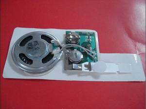 Wholesale Network Cards: Voice Module