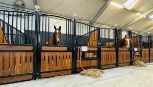 Wholesale steel wire fence: Power Coated Surface Equine Products Horse Stall Equestrian Equipment Bamboo External Equestrian Hor