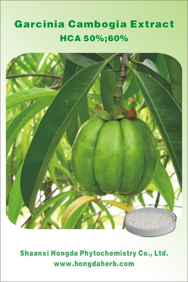 Manufacturer Weight Loss Supplement Garcinia Cambogia Extract Powder