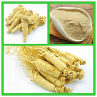 Healthy Plant Extract Ginseng Extract Powder