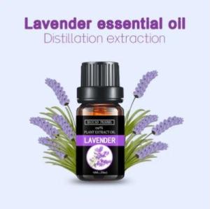Wholesale acetate: Lavender Essential Oil