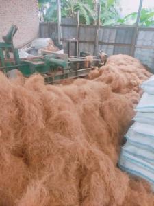 Wholesale consignment: Coconut Fiber / Coconut Coir