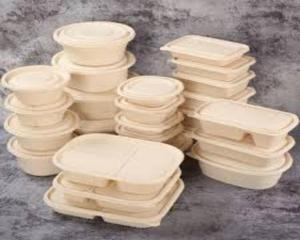 Wholesale disposable: Disposable Container