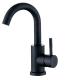 304 Stainless Steel Baking Black Paint Faucet Hot and Cold Basin Wash Basin Faucet Public Bathroom