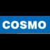COSMO Lighting Co,.Ltd  Company Logo