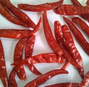 Wholesale chilli: Red Chilli Wholesale chilli: Red Chilli