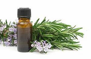 Wholesale hair oil: Rosemary Essential Oil