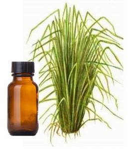 Wholesale resin craft: Vetiver Essential Oil