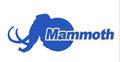 Henan Mammoth International Co.,Ltd Company Logo