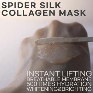 Wholesale prevention mask: Spider Silk Collagen Mask