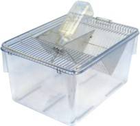 laboratory rat cages for sale