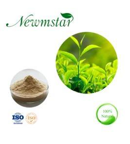 Wholesale green tea extracts: 2022 Wholesale 30% L-Theanine Powder Camellia Sinensis Green Tea Extract with Low Price