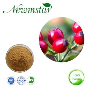 Wholesale wild food: Kosher/ISO/Halal Certified 100% Natural Rose Hip Extract