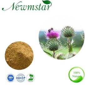 Wholesale silybum marianum: Plant Extract Milk Thistle Extract China Factory with Free Samples